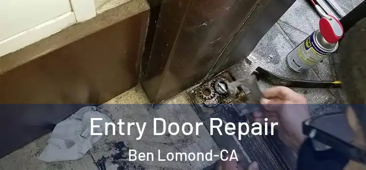 Entry Door Repair Ben Lomond-CA